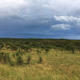 Illustration for article titled AWOL Around Australia... Part 42. East Arnhem Land. Part 2